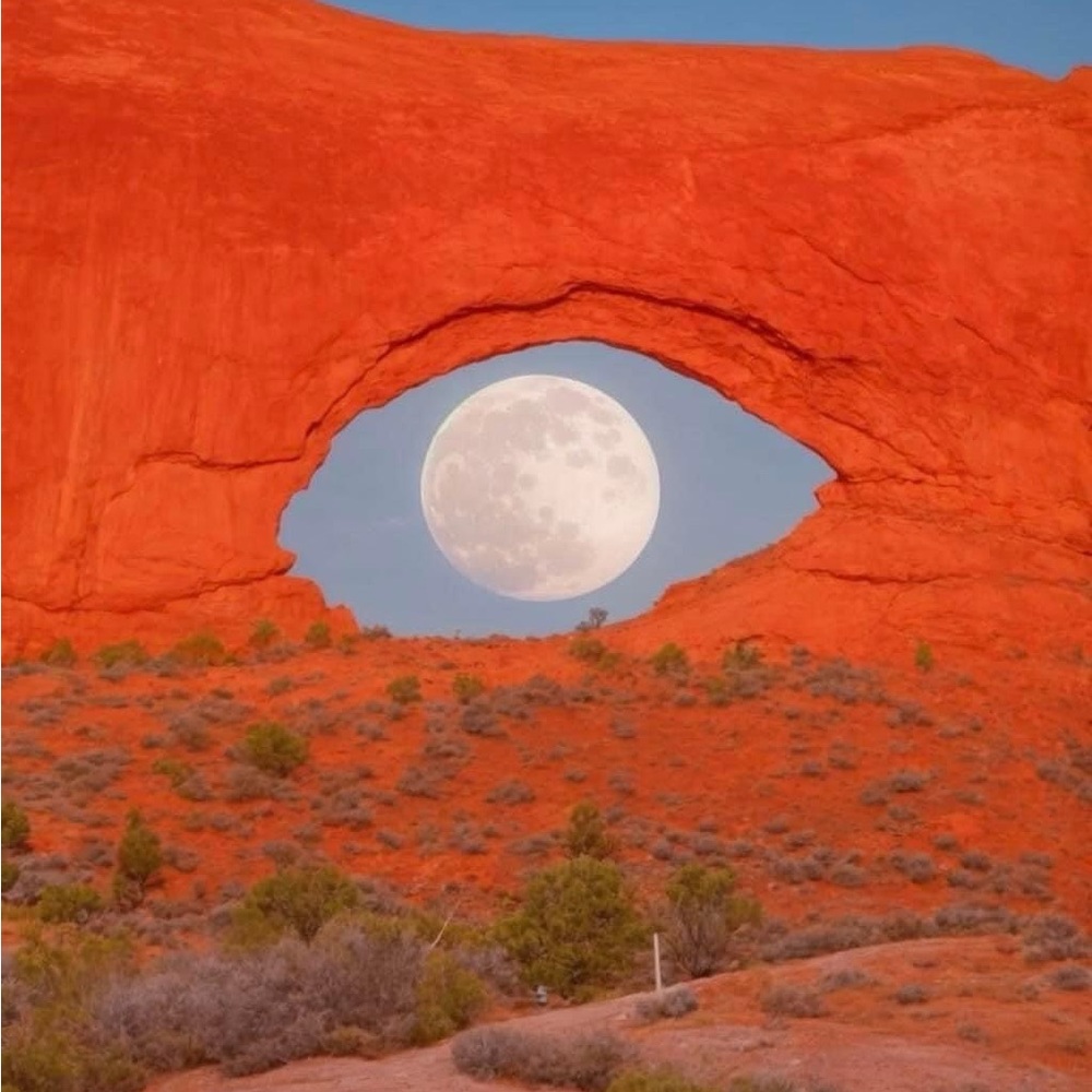 Meet your Posher, Yari